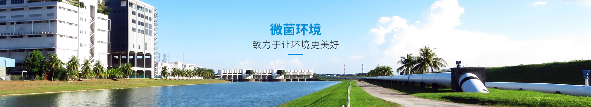 攜手微菌，守護(hù)綠色家園